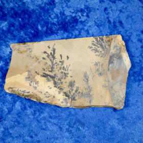 Dendriitti maisemajaspis 74g 110x67x4mm siivu Hi