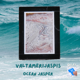 Riipus valtamerijaspis  3x4cm porattu nro 4