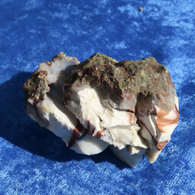 Akaattiopaali halkaistu 90g raakakivi Hi175S 