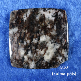 Kapussi astrofylliitti 43x43 5mm iso neliö B10. Sekunda