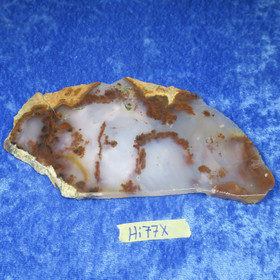 Dendriittiakaatti siivu 114g Hi77x