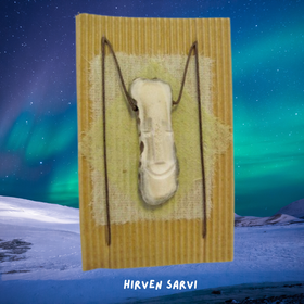 Riipus hirvensarvi, johon on veistetty kasvot 