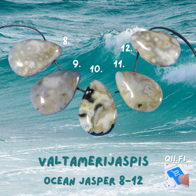 Riipus valtamerijaspis porattu nro 8-12. Valitse