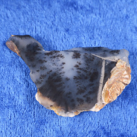 Dendriittiakaatti harmaa  siivu 14g 50x30x8mm Hi77vi4  