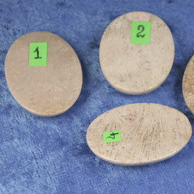 Kapussi fossiilikoralli cabochon 22x30mm ovaali. Indonesia