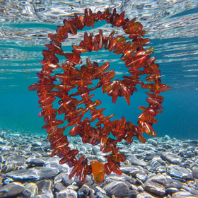 Kaulahelmet meripihka 75cm AMB4