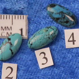 Kapussi turkoosi aito 6x12mm ovaali cabochon. nro 4 