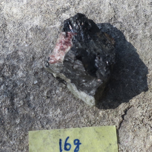 Egiriini raaka 16g