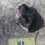 Egiriini raaka 16g