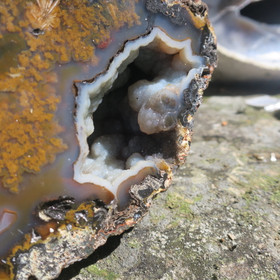 Akaattigeodi iso 1,9kg  61s Brasilia