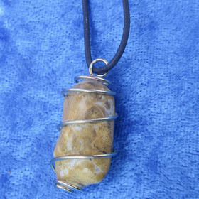 Riipus kivettynyt puu rumpuhiottu spiraalissa nro2