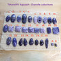 Kapussi tsharoiitti violetti pieni 8x15mm nroB