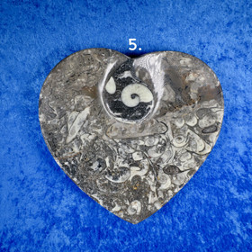 Fossiililautanen sydämen muotoinen 16x16cm. Valitse