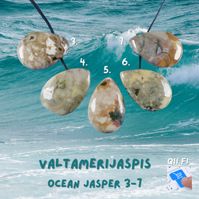 Riipus valtamerijaspis porattu nro 3-7. Valitse