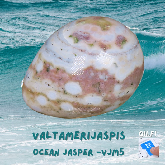  Kivimuna valtamerijaspis n.35mm. Valitse vjm5-7