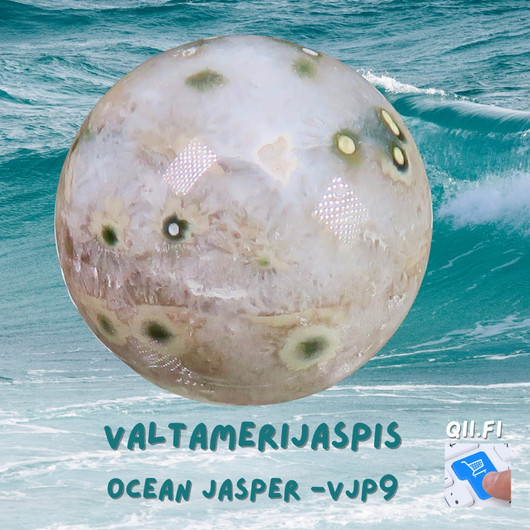 Kivipallo valtamerijaspis . Valitse nro VJP6-9