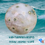 Kivipallo valtamerijaspis . Valitse nro VJP6-9