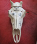 Poron kallo, johon maalattu shamanistisia symboleita, reindeer skull