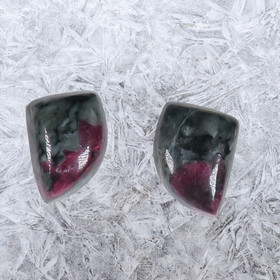 Eudialyytti nappikorvakorut purje C