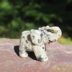 Kivieläin elefantti graniittinorsu