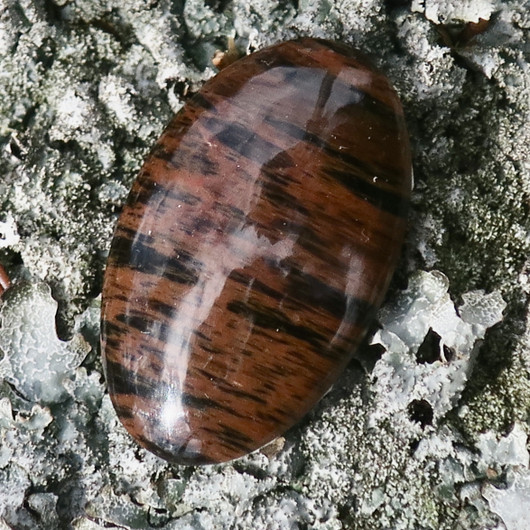 Kapussi mahonkiobsidiaani 15x24mm ovaali cabochon