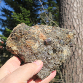  Granaattikiteitä gneississä 1345g Suomi Hi89a