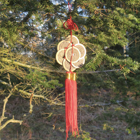 Onnenrahoja seinäkoriste, pituus 38cm, 8 isoa 48mm onnenrahaa