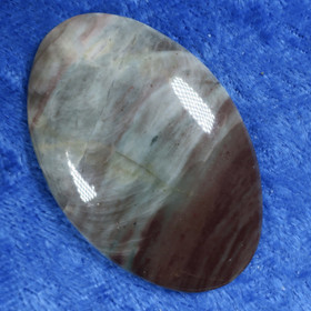 Kapussi kivettynyt puu 43x27x5,5mm ovaali nro3