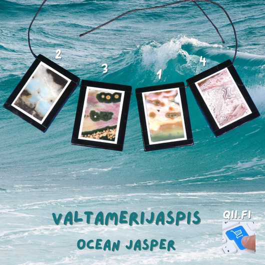 Riipus valtamerijaspis  3x4cm porattu nro 4