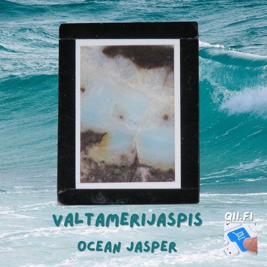 Riipus valtamerijaspis 3x4cm porattu nro 2