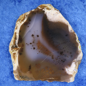 Dendriittiakaatti siivu 82g Hi77a1 