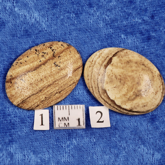 Kapussi maisemajaspis 22x30mm ovaali 