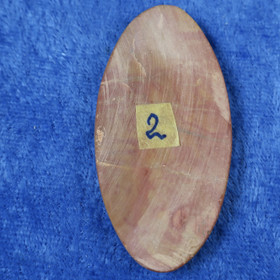 Kapussi kivettynyt puu 55x26mm ovaali 5mm. nro2