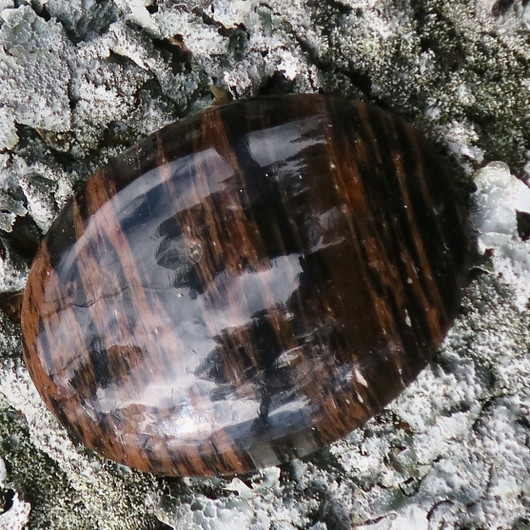 Kapussi mahonkiobsidiaani 21x27mm ovaali cabochon