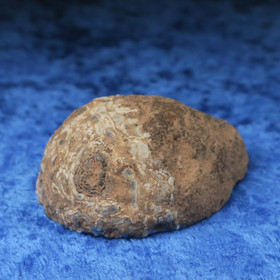 Akaattigeodi 27g 50x40x20mm Brasilia nro AK7