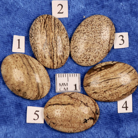 Kapussi maisemajaspis 18x25mm ovaali 