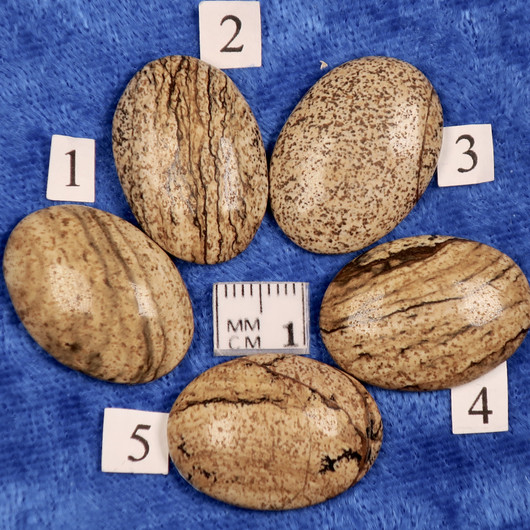 Kapussi maisemajaspis 18x25mm ovaali 