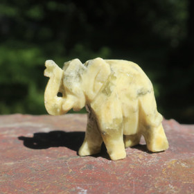 Kivieläin elefantti ofeakalsiitti norsu 