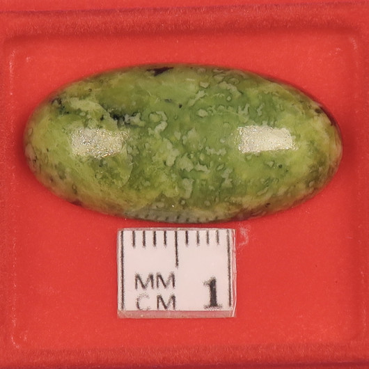 Kapussi serpentiini 15x30mm