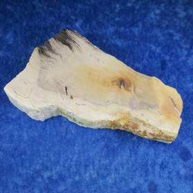 Kivettynyt puu siivu 308g Hi92A