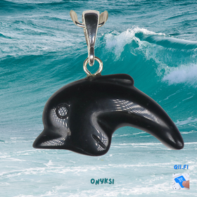 Riipus onyksi musta delfiini