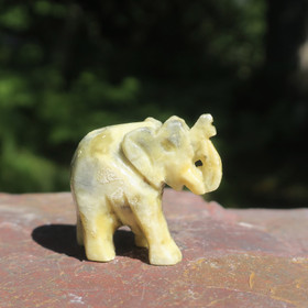 Kivieläin elefantti ofeakalsiitti norsu 