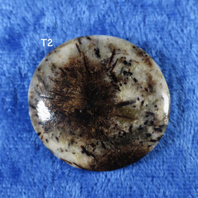 Astrofylliitti taskukivi  nroT2