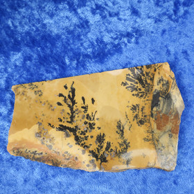 Dendriitti maisemajaspis 74g 110x67x4mm siivu Hi