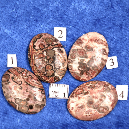 Kapussi leopardijaspis 22x30mm ovaali cabochon