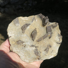 Stauroliitti 1292g 155x130x50mm Ural Hi12H