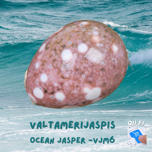  Kivimuna valtamerijaspis n.35mm. Valitse vjm5-7