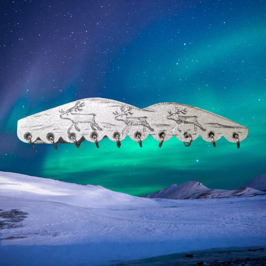 Solmioneula porot tunturissa