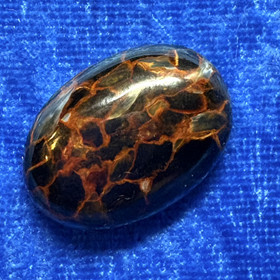 Kapussi pietersiitti cabochon w21
