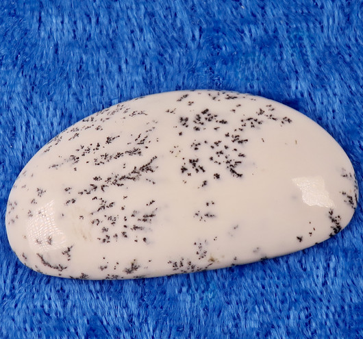 Kapussi dendriittiopaali, valkoinen 20x38mm cabochon P